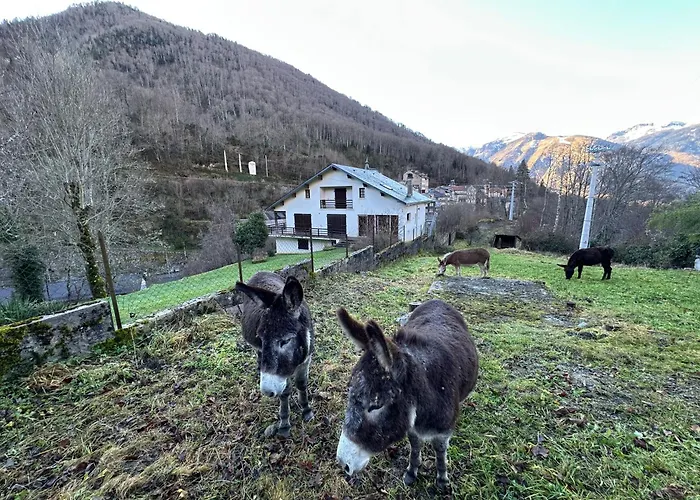 Lägenhet Artigalas *